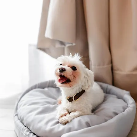 My Story 4* Sopot