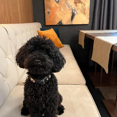 My Story 아파트호텔 소포트