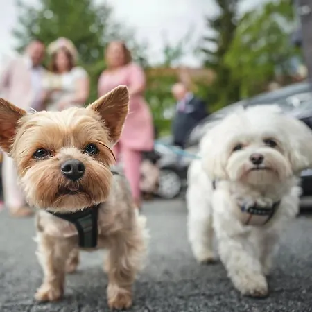 Appart hôtel My Story Sopot