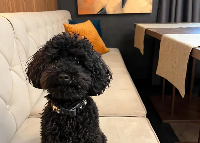 My Story Aparthotel Sopot