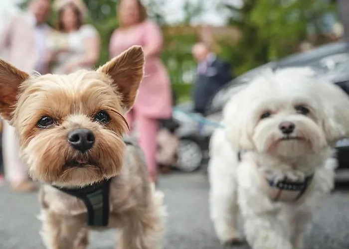 Hotel apartamentowy My Story Sopot